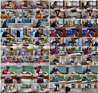 图2|LayerRecall在多组「出现—离场—返回」三镜头任务中的生成结果,覆盖主体身份、颜色属性、关键物体与场景布局的远期召回(对应论文Fig. 5)